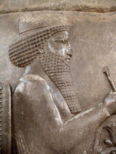 Darius the Great of Persia, relief image