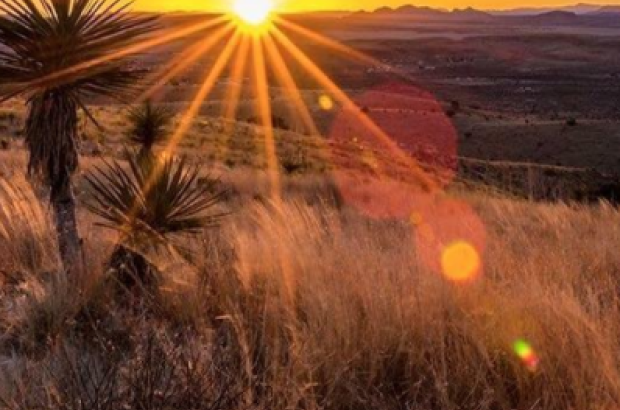 Sun rising and spreading light over the Chihuahua Desert, dried grass and trees are at the forefront with mountains in the background