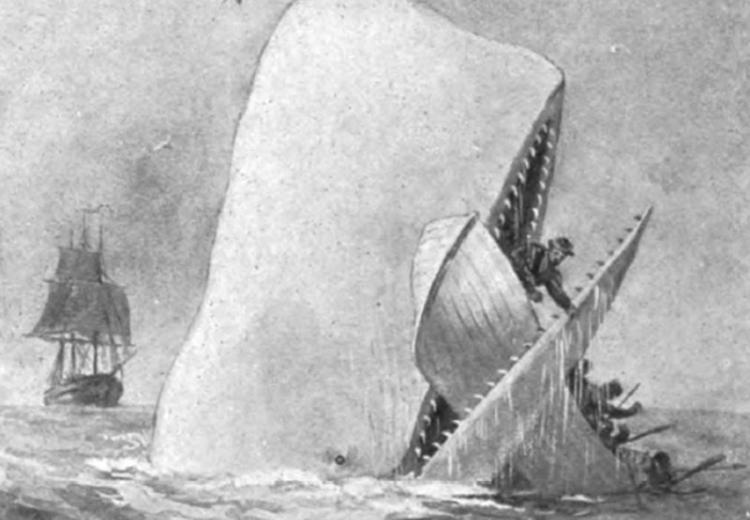 Illustration from an early edition of Moby-Dick, 1892.